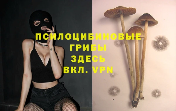 бошки Каменка