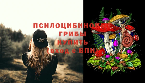 не бодяженный Каменногорск